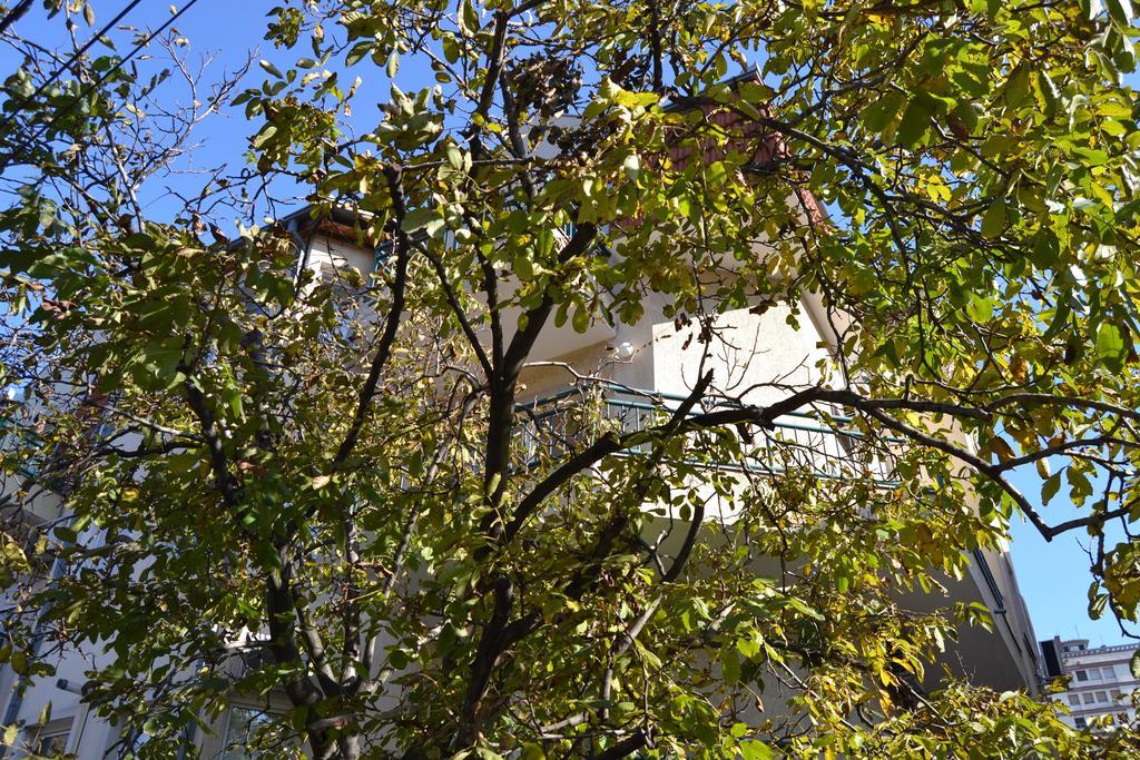 Villa K Apartments Belgrad Zimmer foto